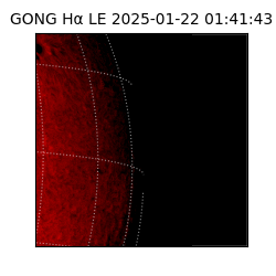 gong - 2025-01-22T01:41:43
