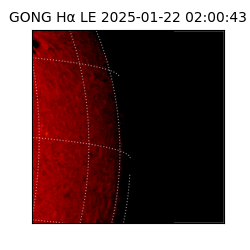 gong - 2025-01-22T02:00:43