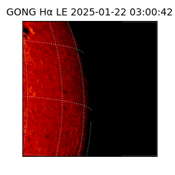 gong - 2025-01-22T03:00:42