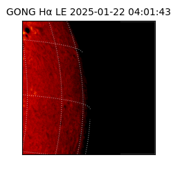 gong - 2025-01-22T04:01:43