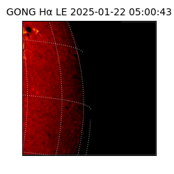 gong - 2025-01-22T05:00:43