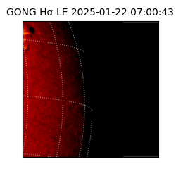 gong - 2025-01-22T07:00:43