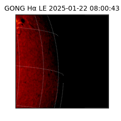 gong - 2025-01-22T08:00:43