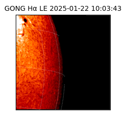 gong - 2025-01-22T10:03:43