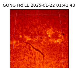 gong - 2025-01-22T01:41:43