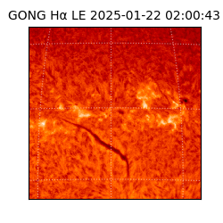 gong - 2025-01-22T02:00:43