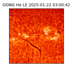 gong - 2025-01-22T03:00:42