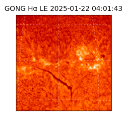 gong - 2025-01-22T04:01:43