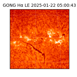 gong - 2025-01-22T05:00:43