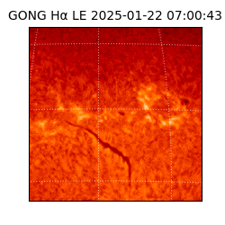 gong - 2025-01-22T07:00:43