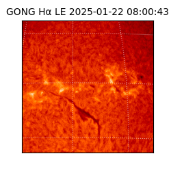 gong - 2025-01-22T08:00:43