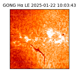 gong - 2025-01-22T10:03:43