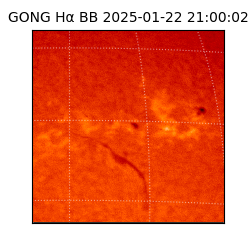 gong - 2025-01-22T21:00:02