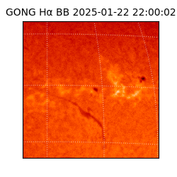 gong - 2025-01-22T22:00:02