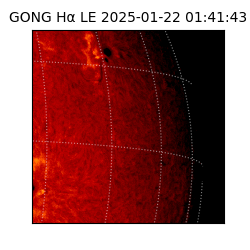 gong - 2025-01-22T01:41:43