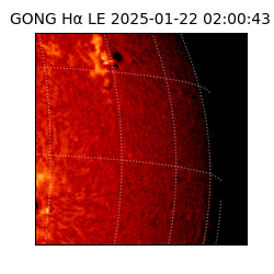 gong - 2025-01-22T02:00:43