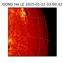 gong - 2025-01-22T03:00:42