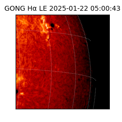 gong - 2025-01-22T05:00:43