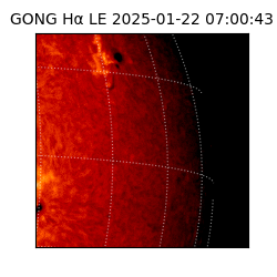 gong - 2025-01-22T07:00:43