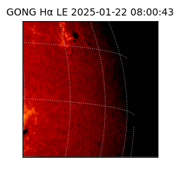 gong - 2025-01-22T08:00:43