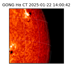 gong - 2025-01-22T14:00:42