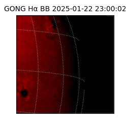 gong - 2025-01-22T23:00:02