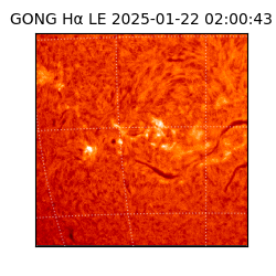 gong - 2025-01-22T02:00:43