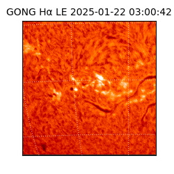 gong - 2025-01-22T03:00:42