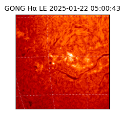 gong - 2025-01-22T05:00:43