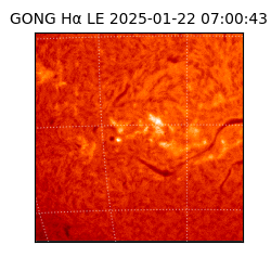 gong - 2025-01-22T07:00:43