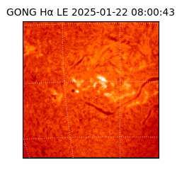 gong - 2025-01-22T08:00:43