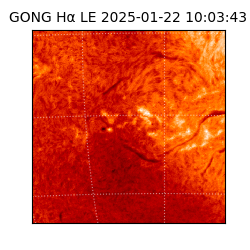 gong - 2025-01-22T10:03:43