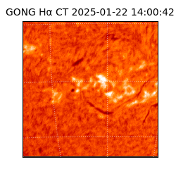 gong - 2025-01-22T14:00:42