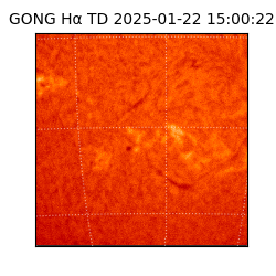 gong - 2025-01-22T15:00:22