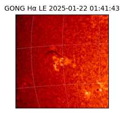 gong - 2025-01-22T01:41:43