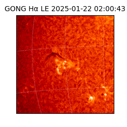 gong - 2025-01-22T02:00:43