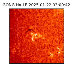 gong - 2025-01-22T03:00:42