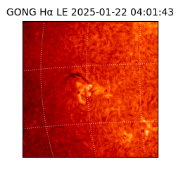 gong - 2025-01-22T04:01:43