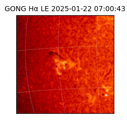 gong - 2025-01-22T07:00:43