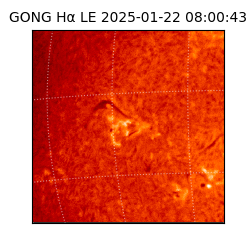 gong - 2025-01-22T08:00:43