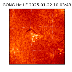 gong - 2025-01-22T10:03:43