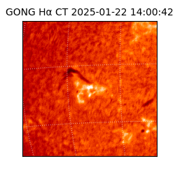 gong - 2025-01-22T14:00:42
