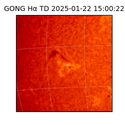 gong - 2025-01-22T15:00:22