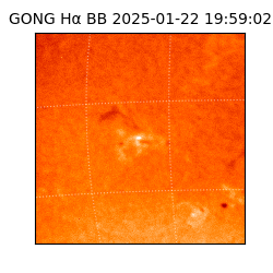 gong - 2025-01-22T19:59:02