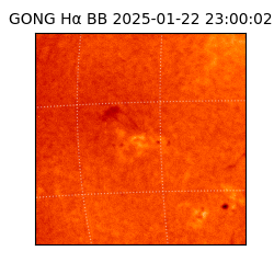 gong - 2025-01-22T23:00:02