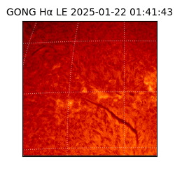 gong - 2025-01-22T01:41:43