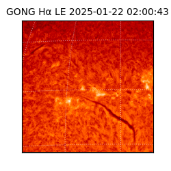 gong - 2025-01-22T02:00:43