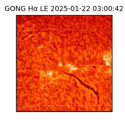 gong - 2025-01-22T03:00:42