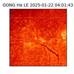gong - 2025-01-22T04:01:43
