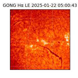 gong - 2025-01-22T05:00:43